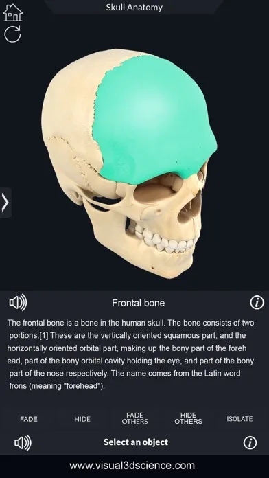 My Skull Anatomy Screenshots
